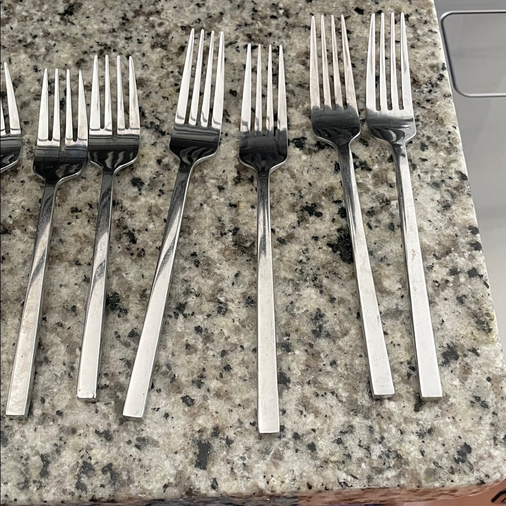 Stainless Steel Fork Set